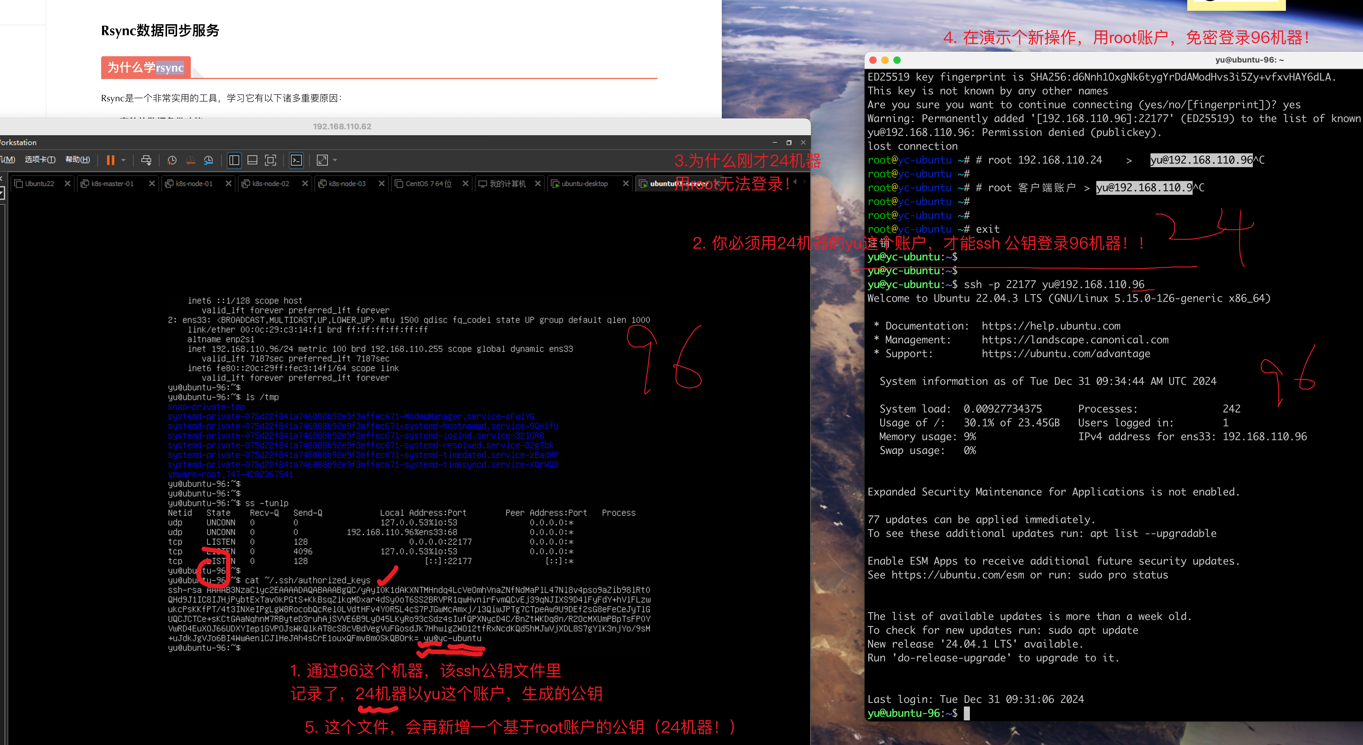 image-20241231173810385