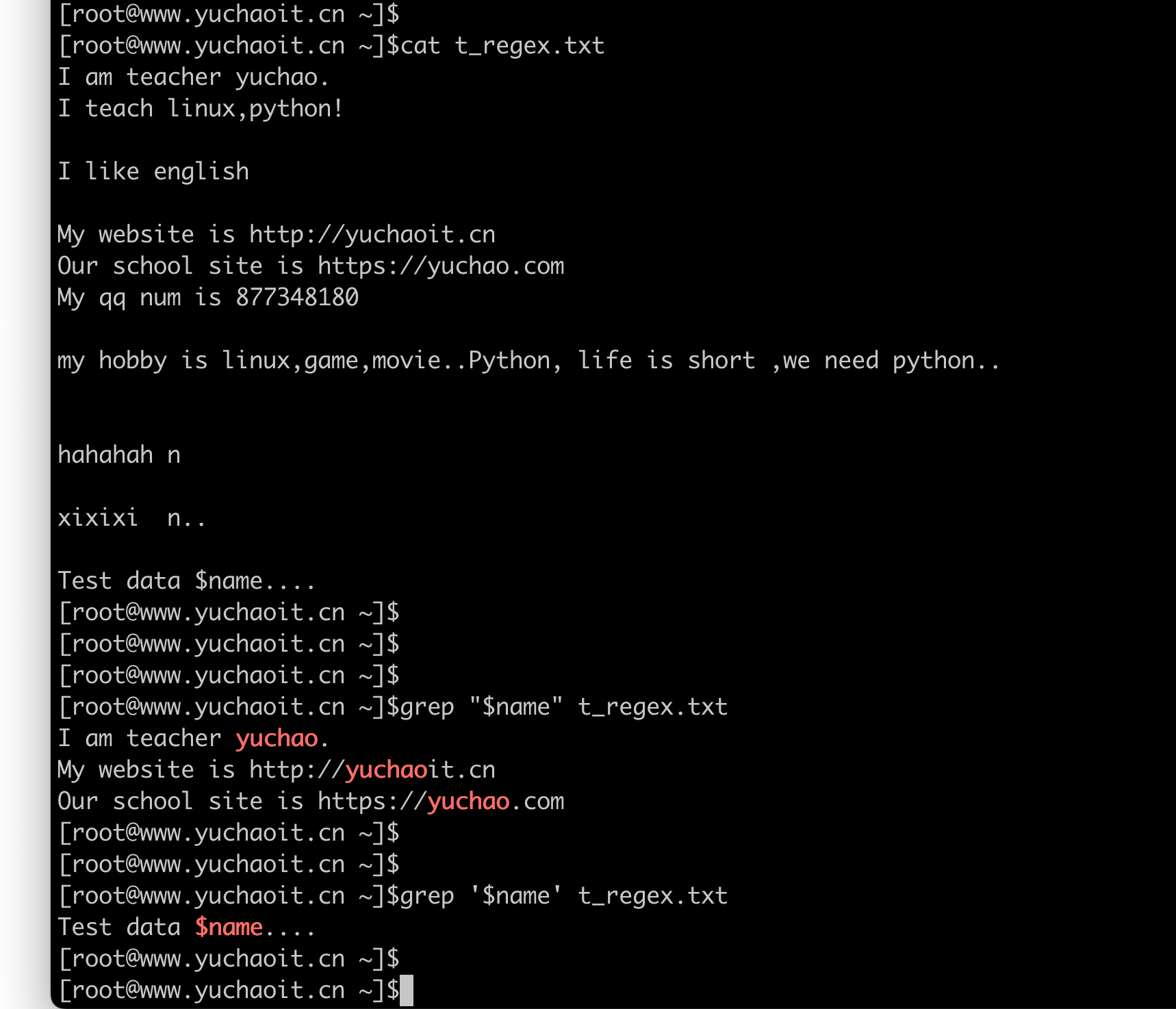 image-20250113220735158