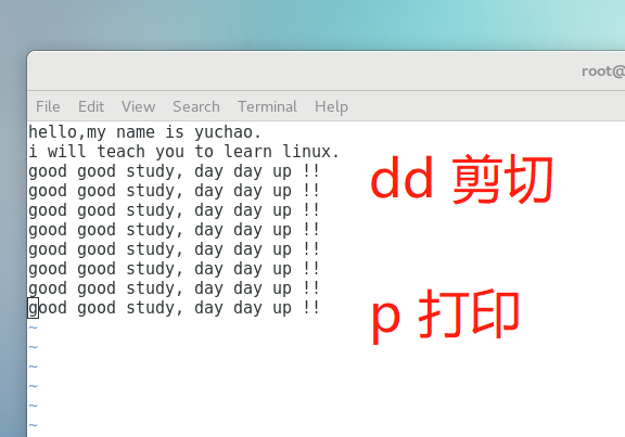 image-20220106165202389