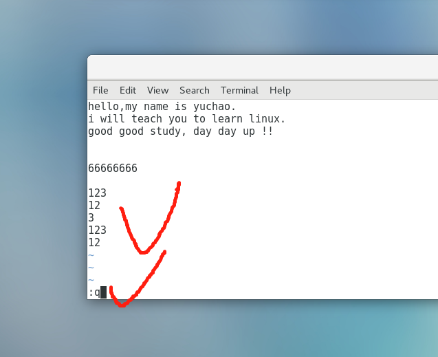 image-20220106171131689