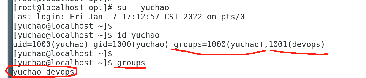 image-20220107180534969