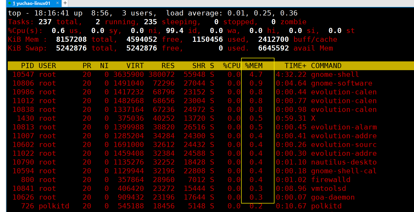 image-20220117181648410