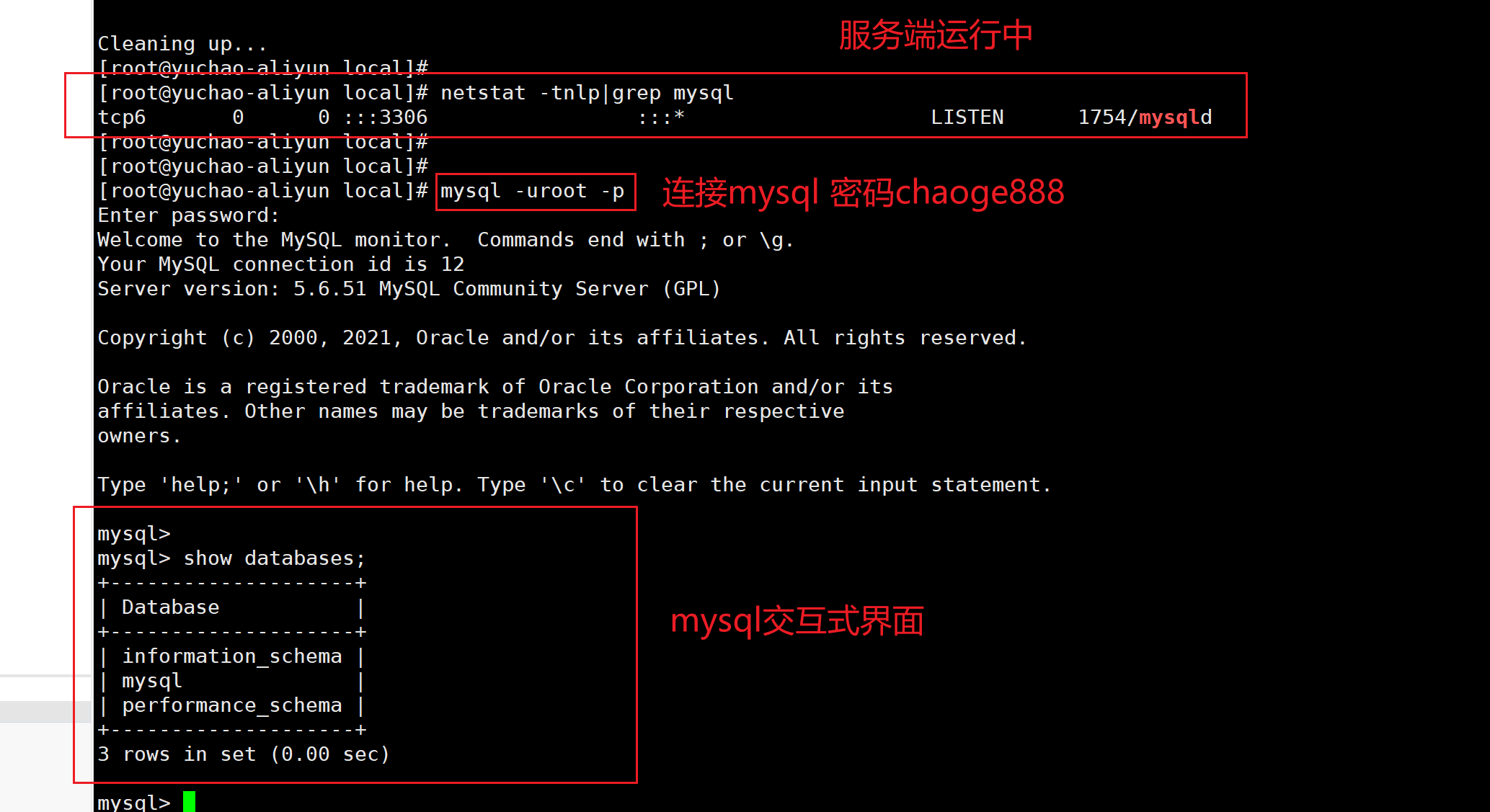image-20220118201119721