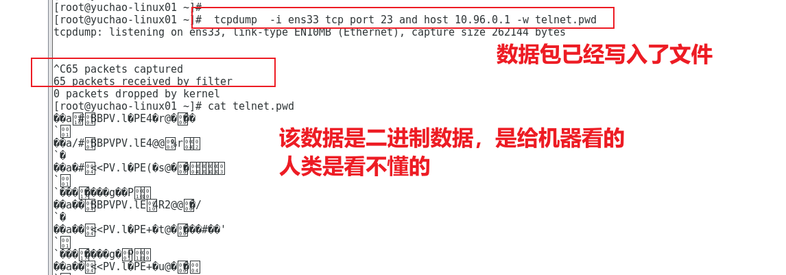 image-20220126104833085