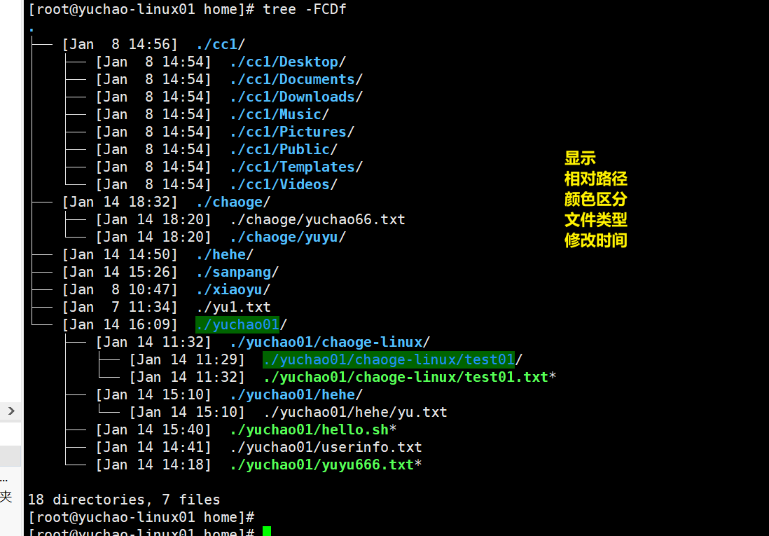 image-20220126204924981