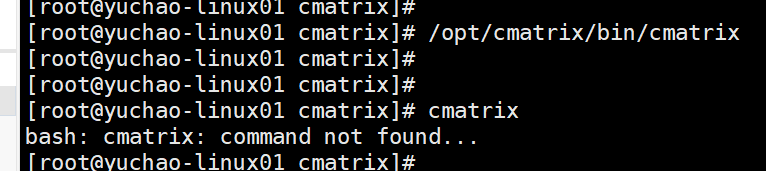 image-20220207112642898