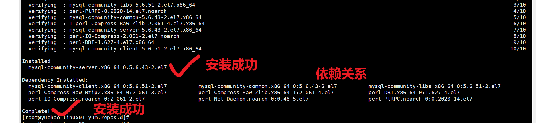 image-20220207161253875