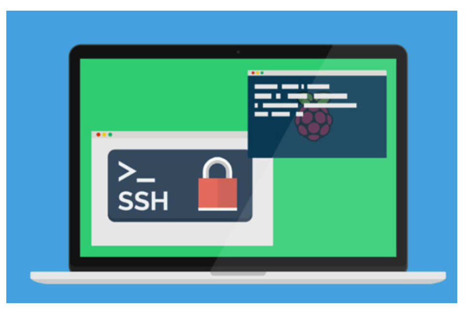 image-20220210143224502