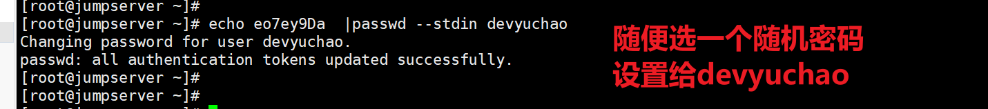 image-20220211134757035