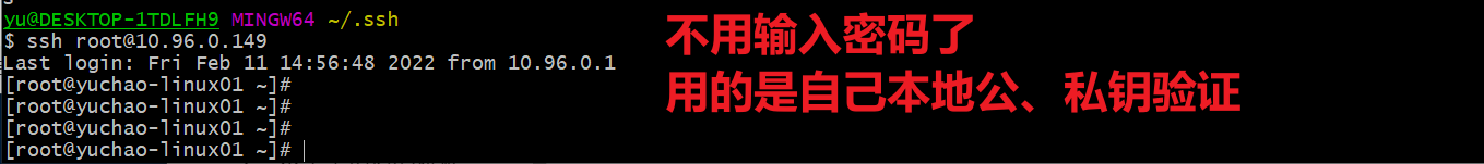 image-20220211165042629