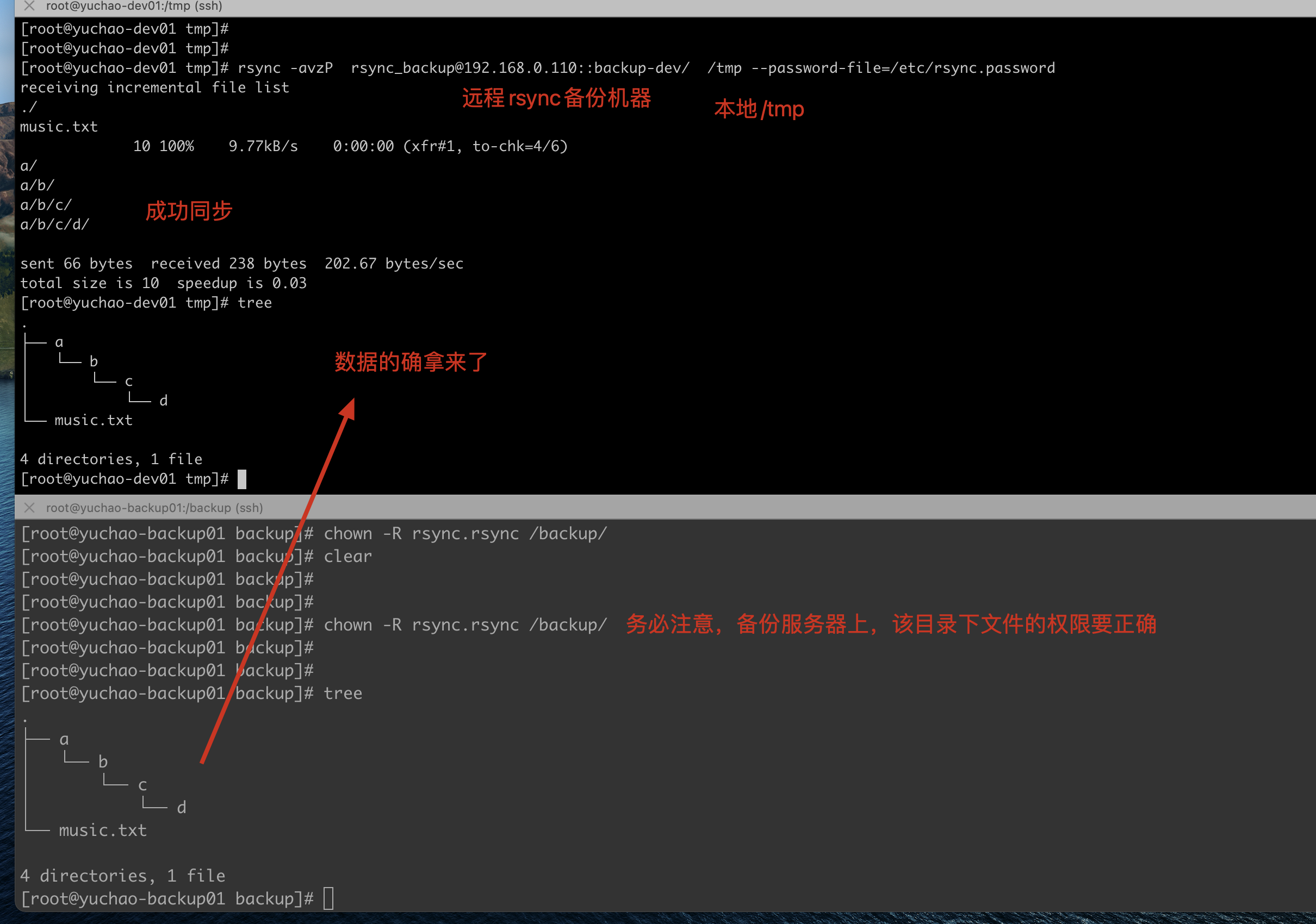 image-20220216113524082