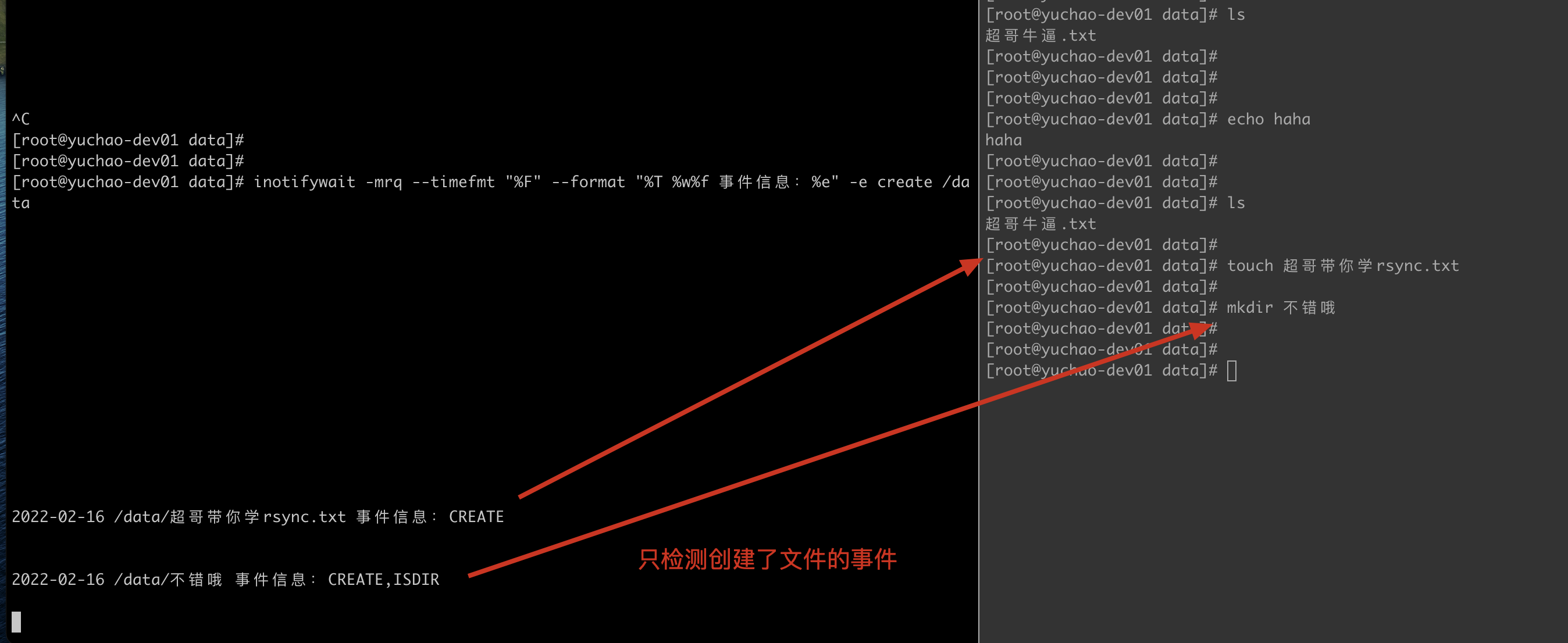 image-20220216135548032