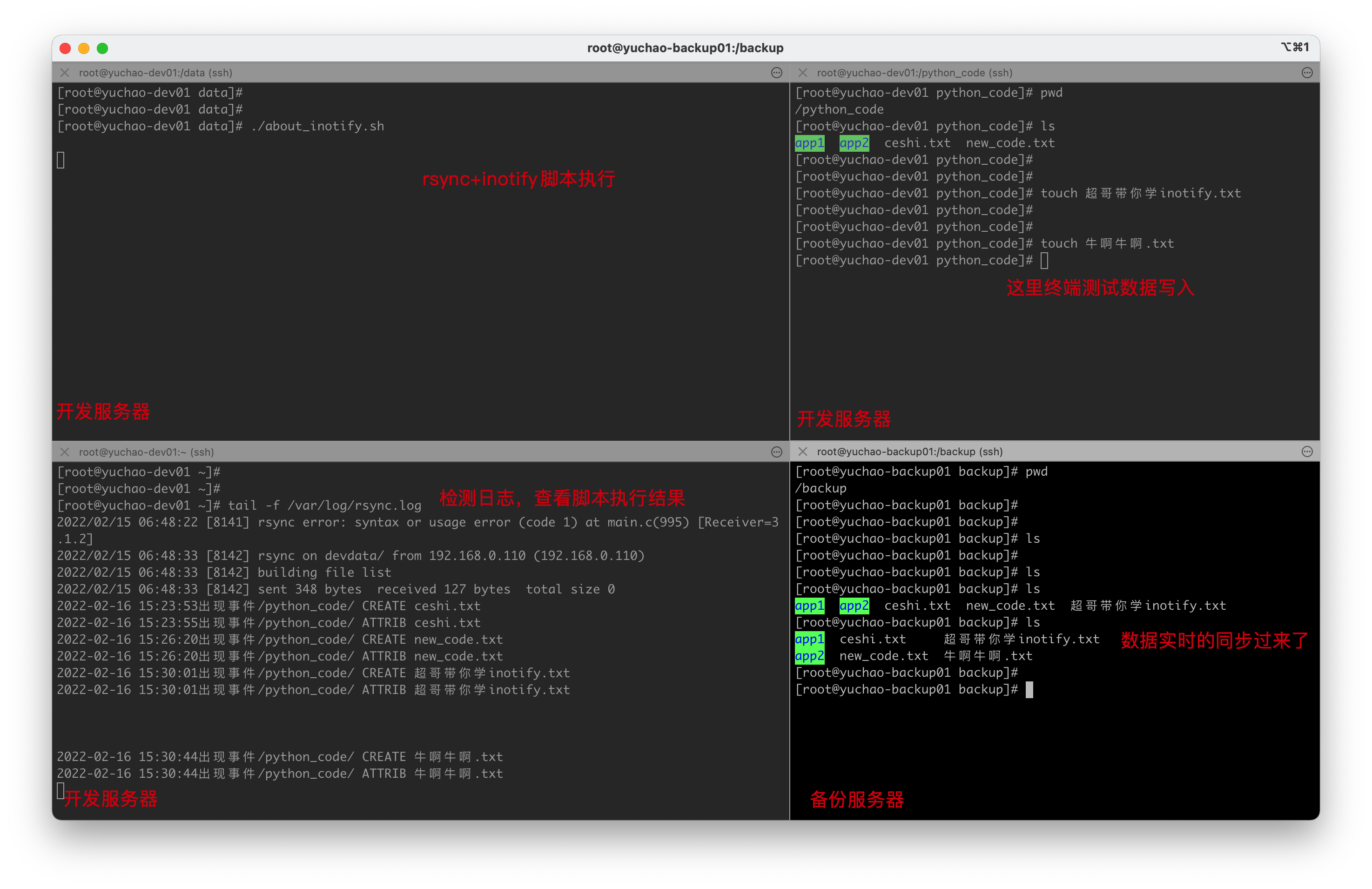 image-20220216153159358