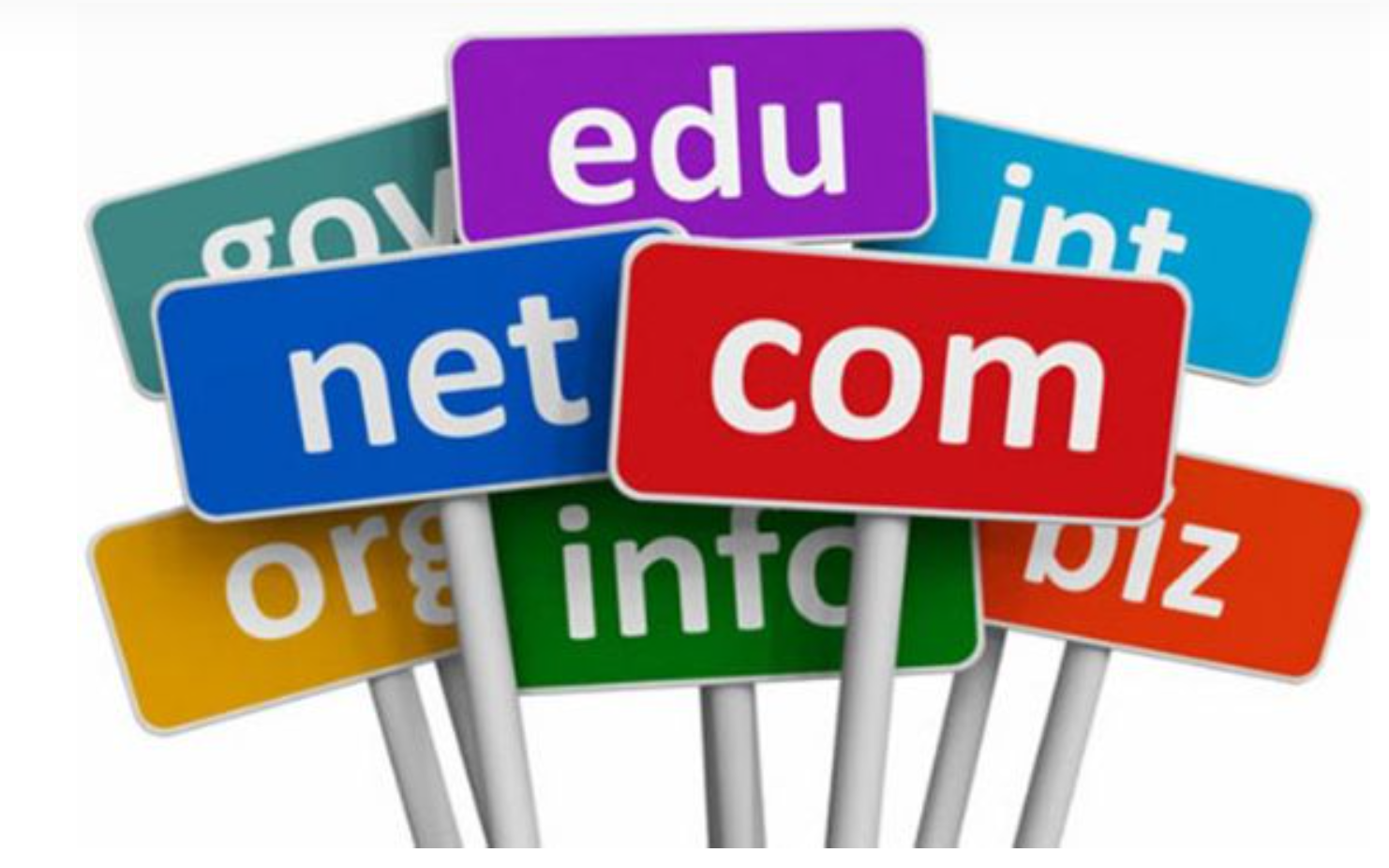 image-20220218204258808