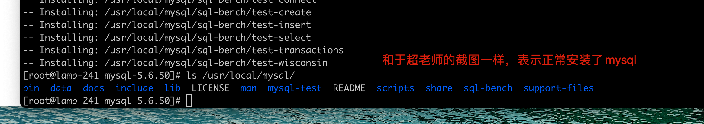 image-20220226175034271