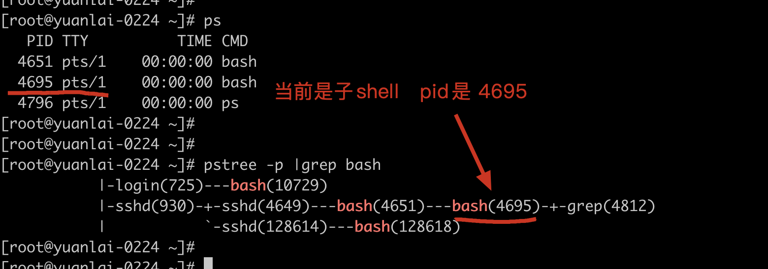 image-20220308171730779