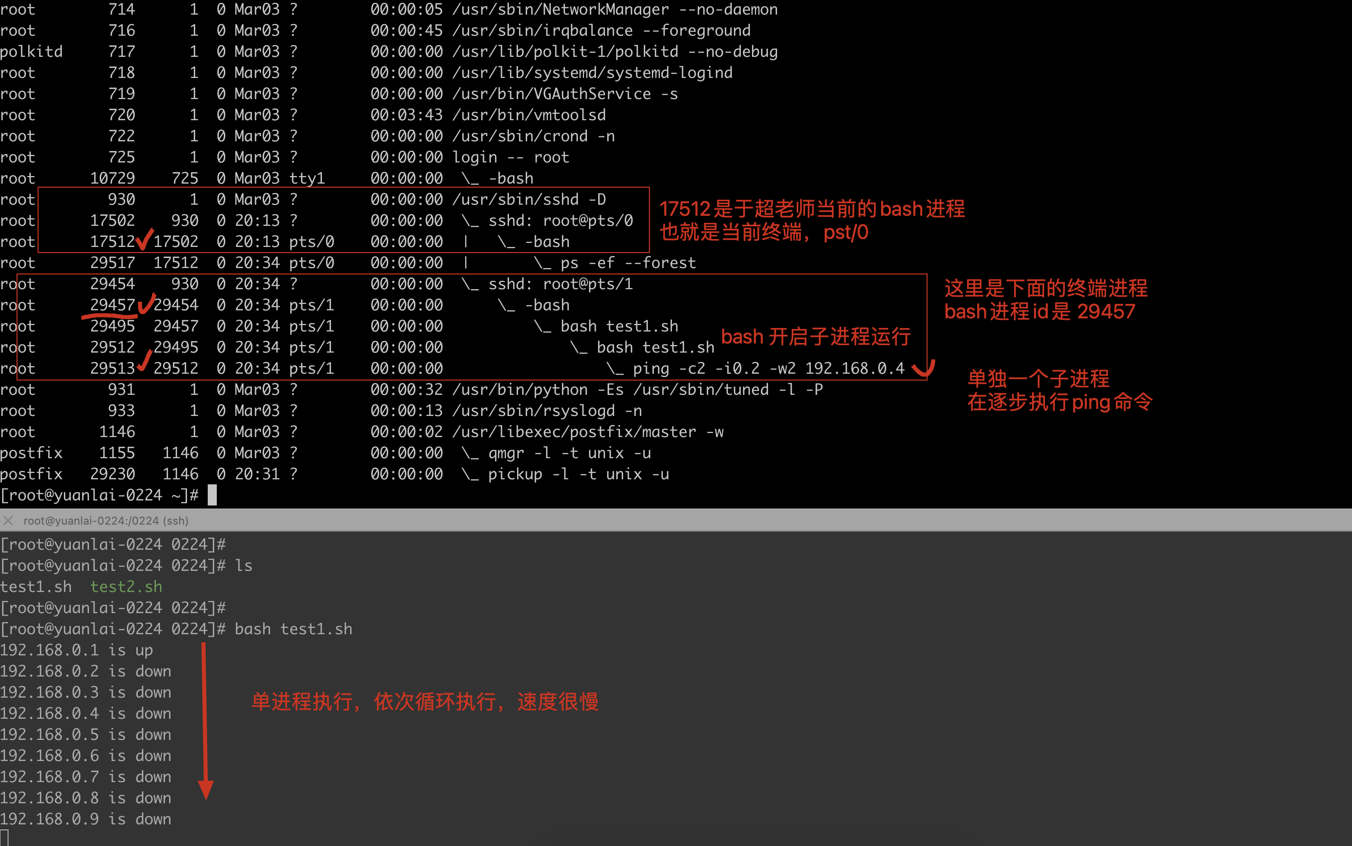 image-20220308203824840