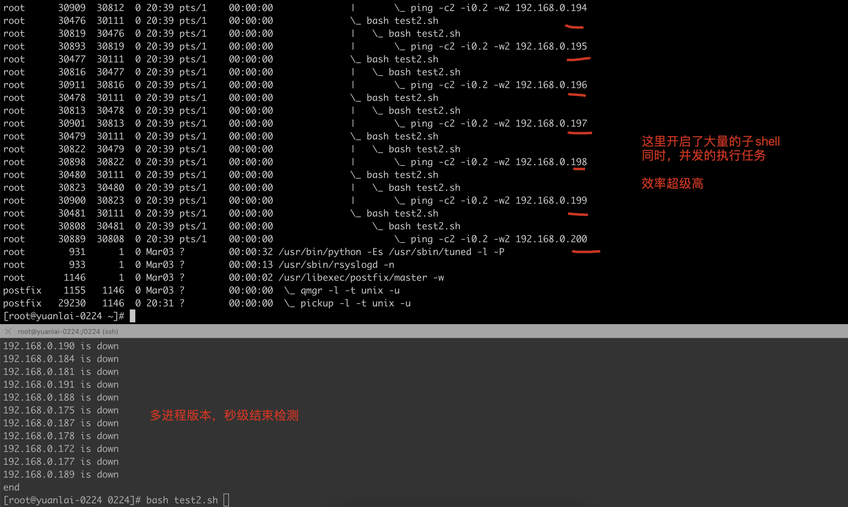 image-20220308204107947