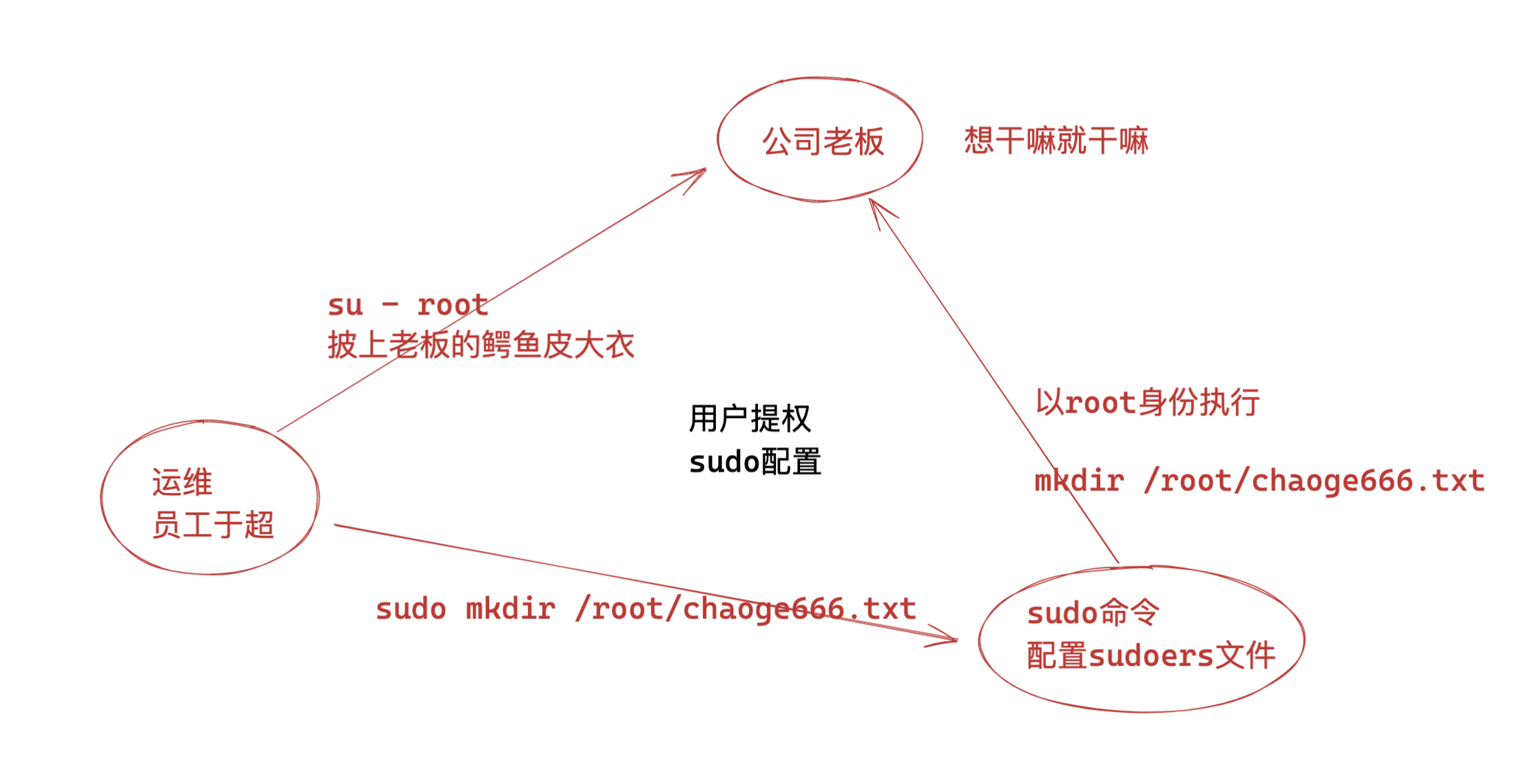 image-20220309204025890