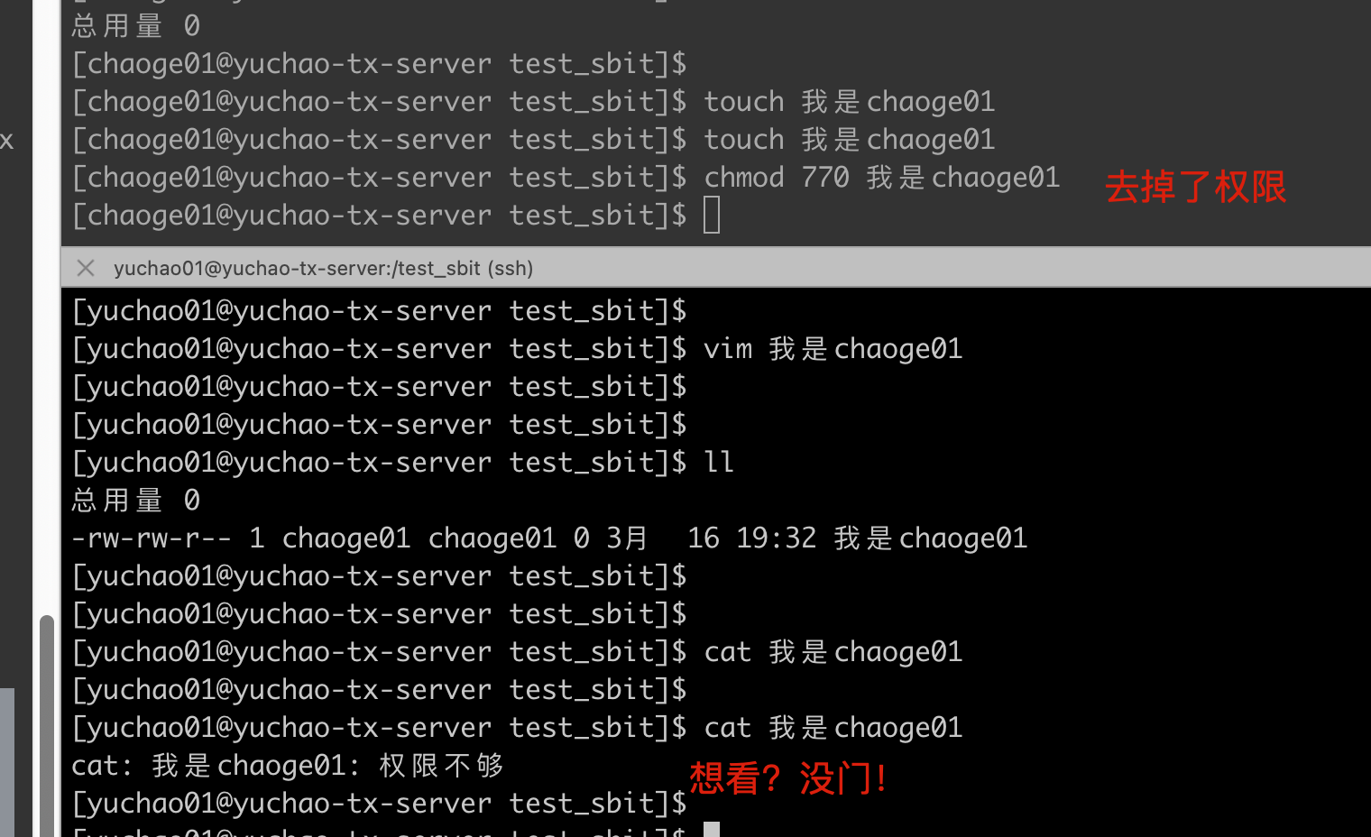 image-20220316193554228