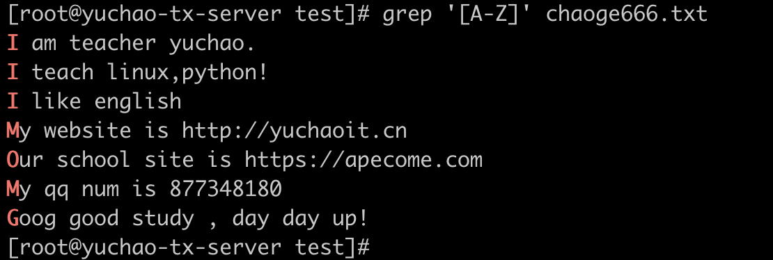 image-20220404195744056