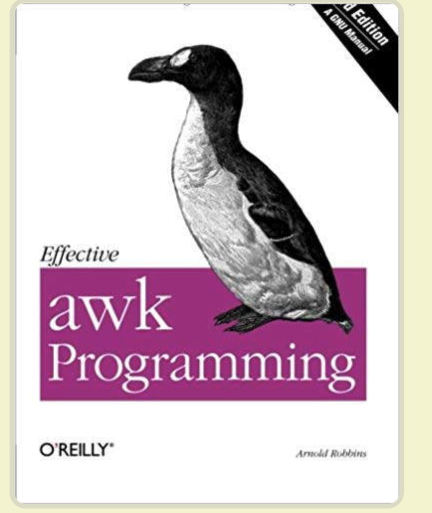 image-20220411173043315