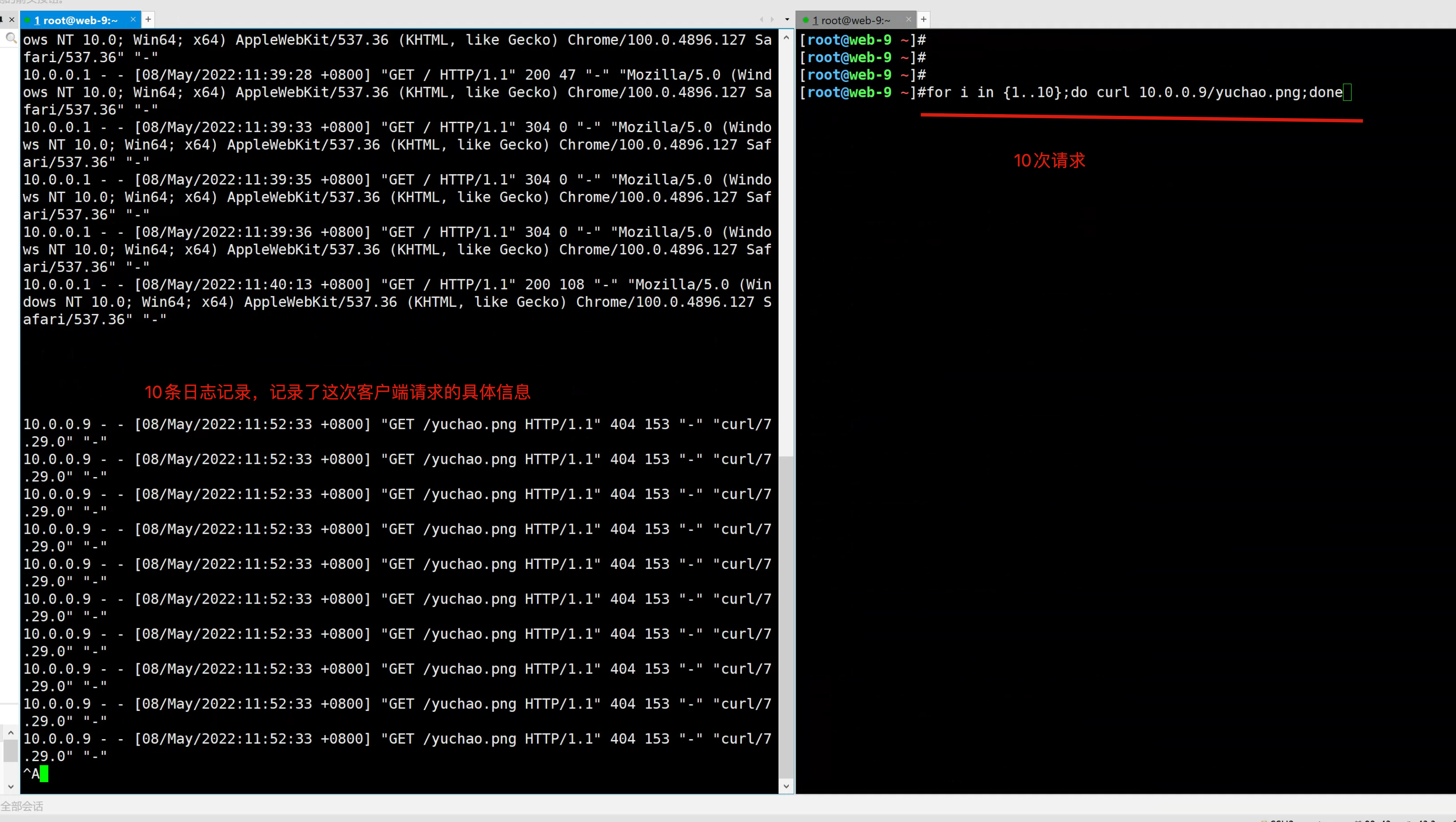 image-20220508115345194