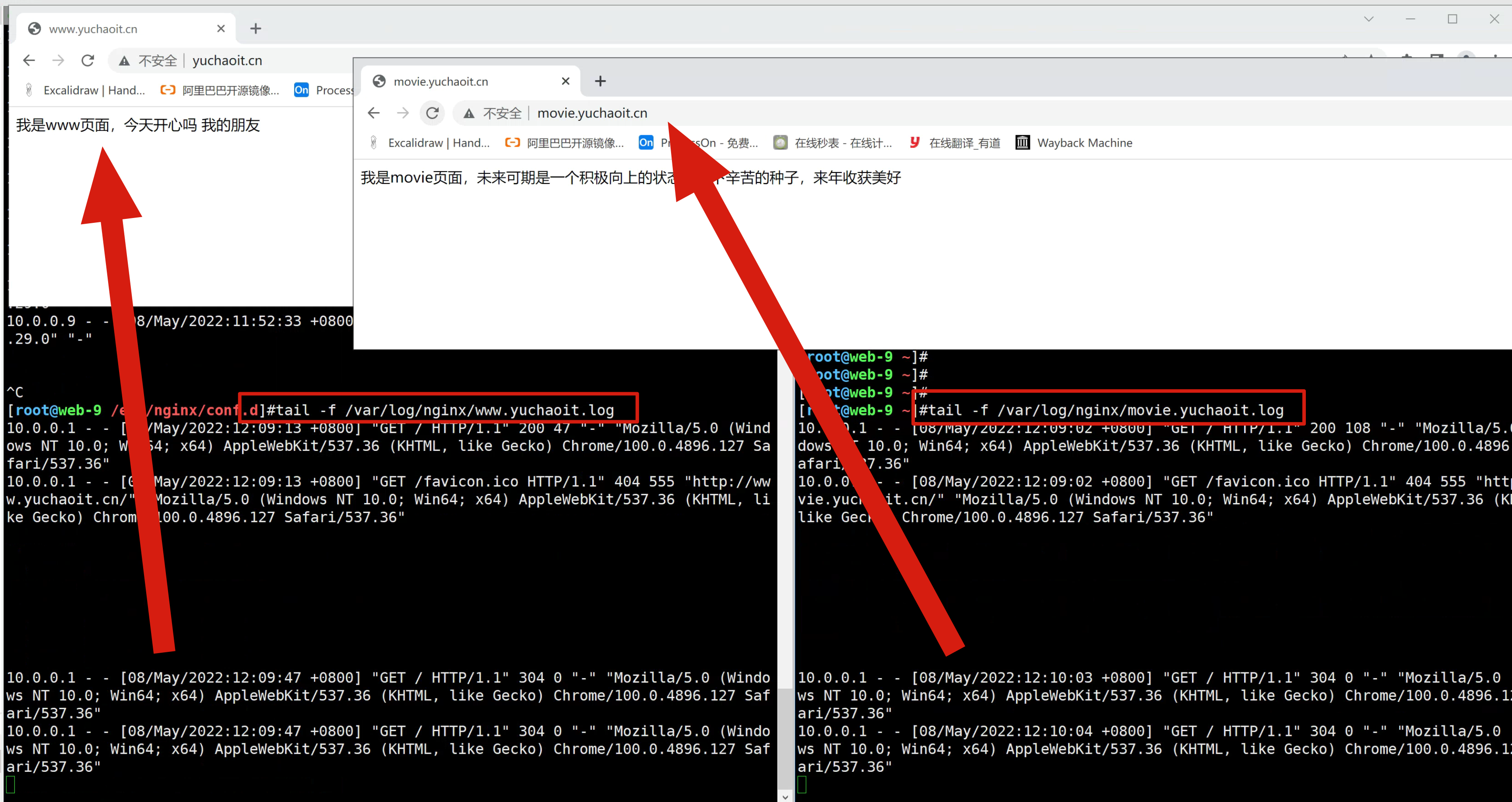 image-20220508121048214
