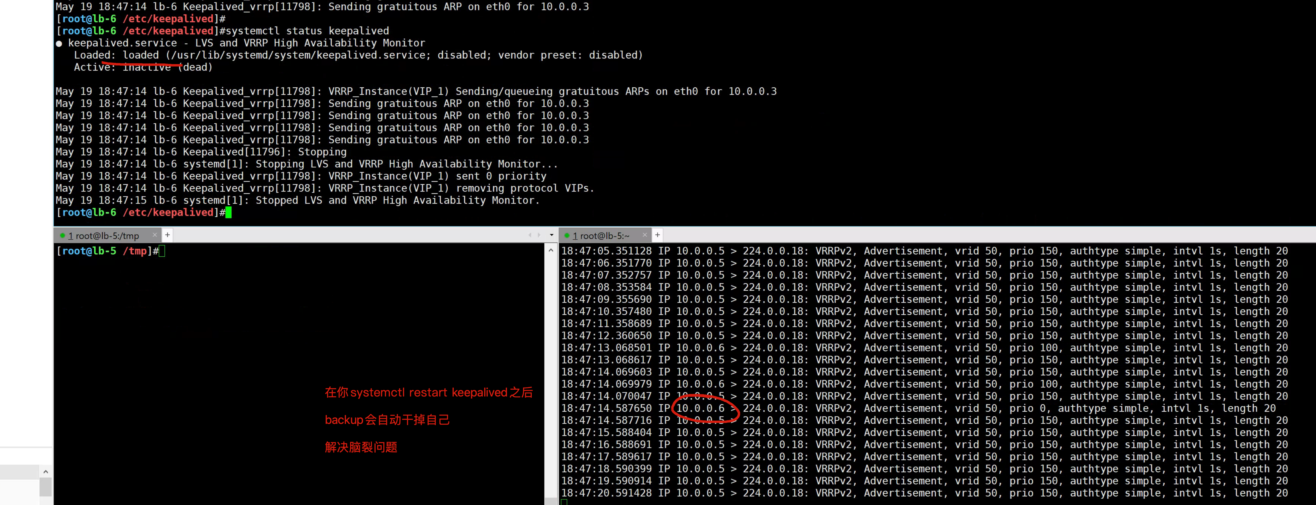 image-20220519184805278