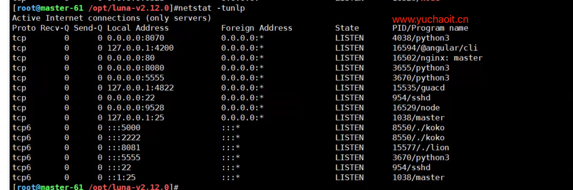 image-20220523171435069