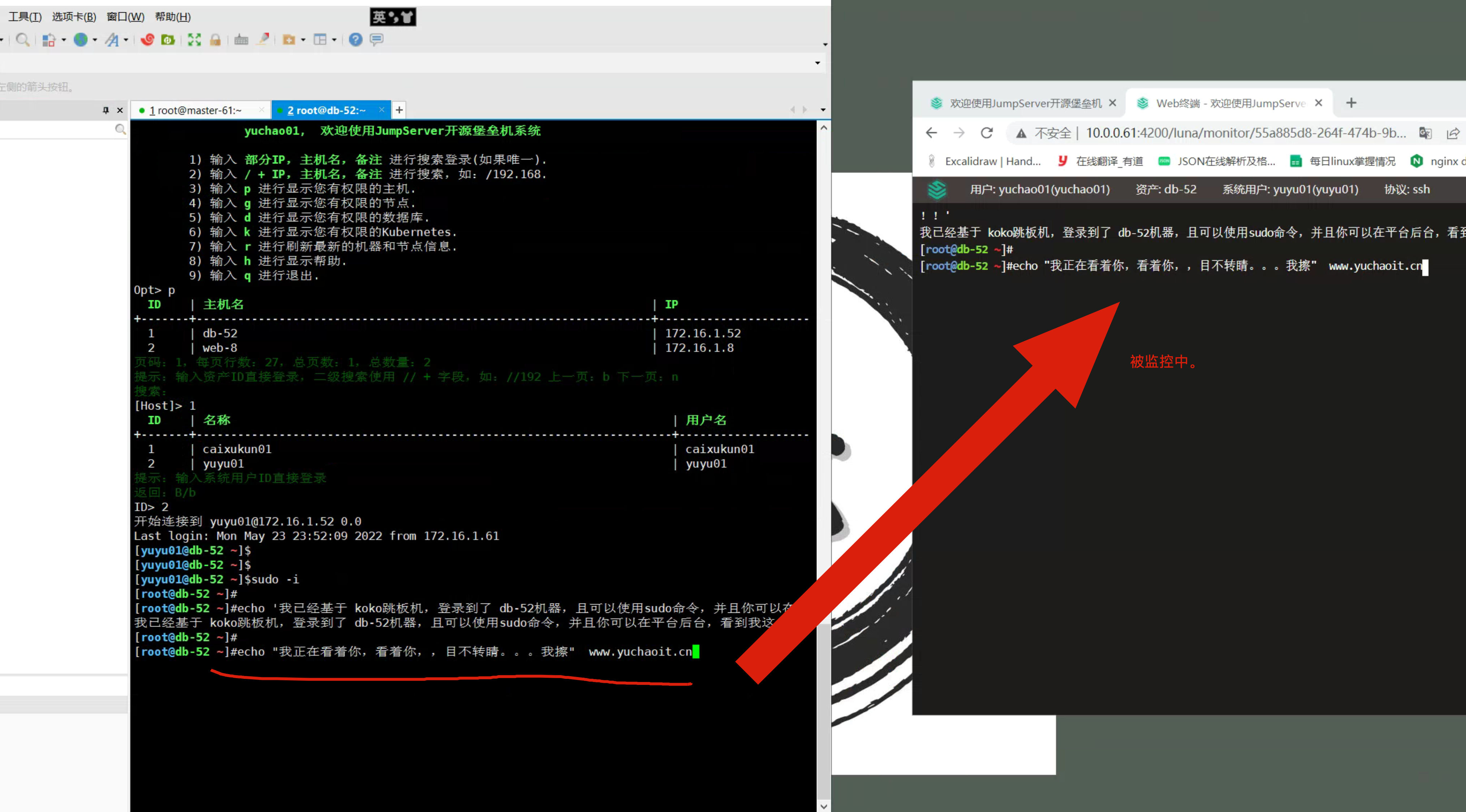 image-20220524001047733