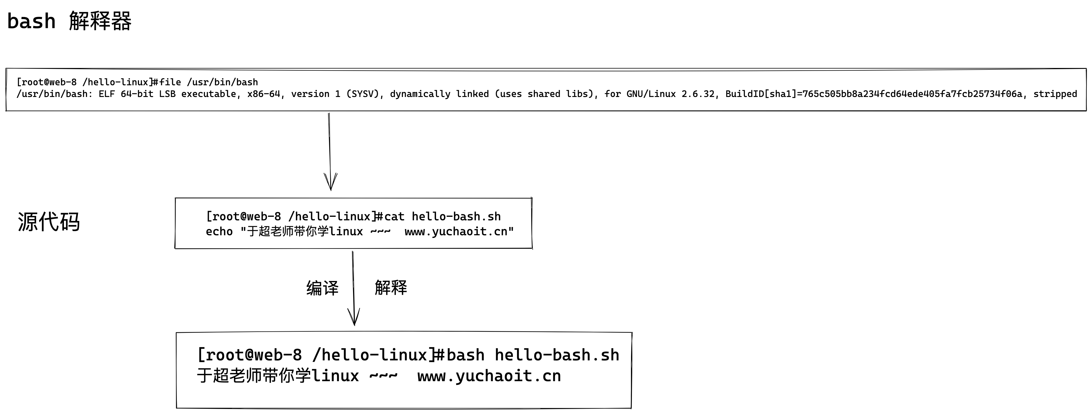 image-20220525172455868