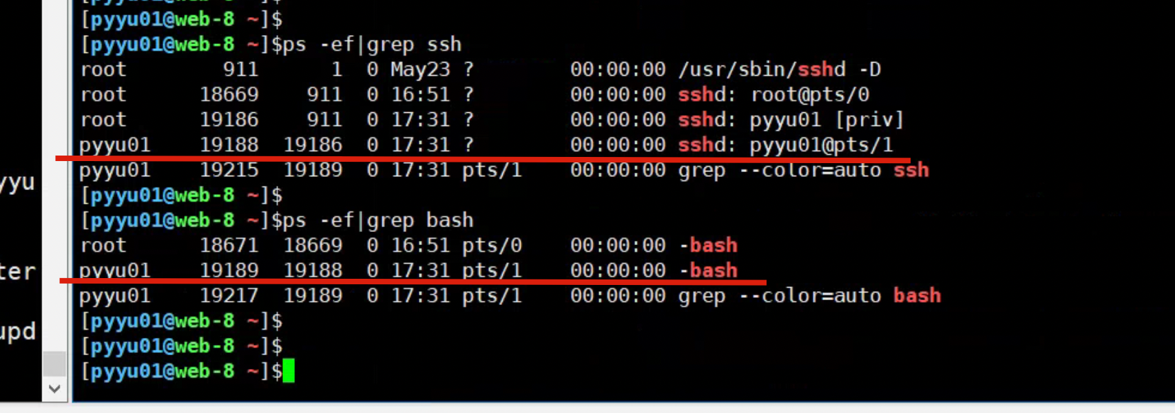 image-20220525173238507