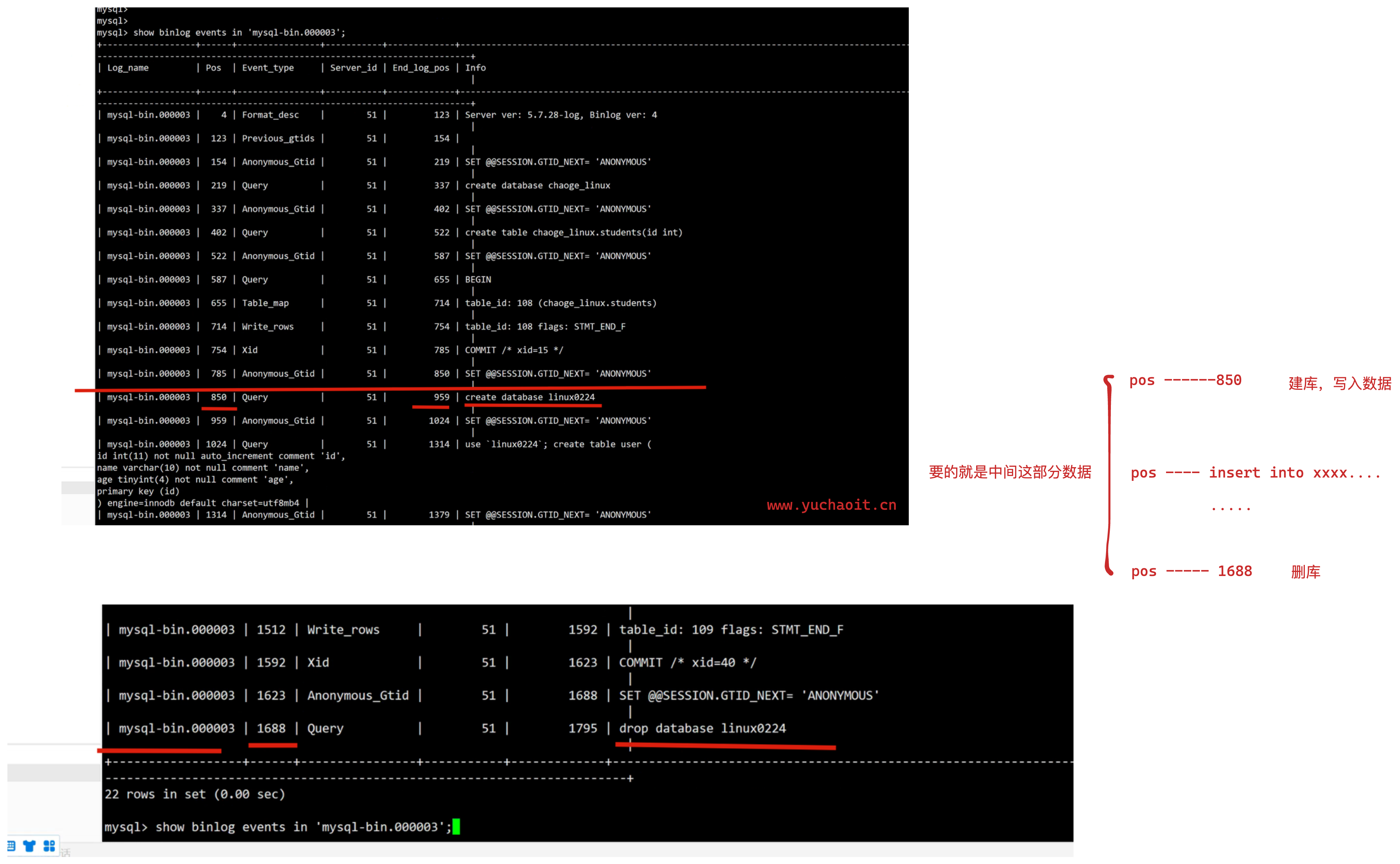 image-20220724104657473