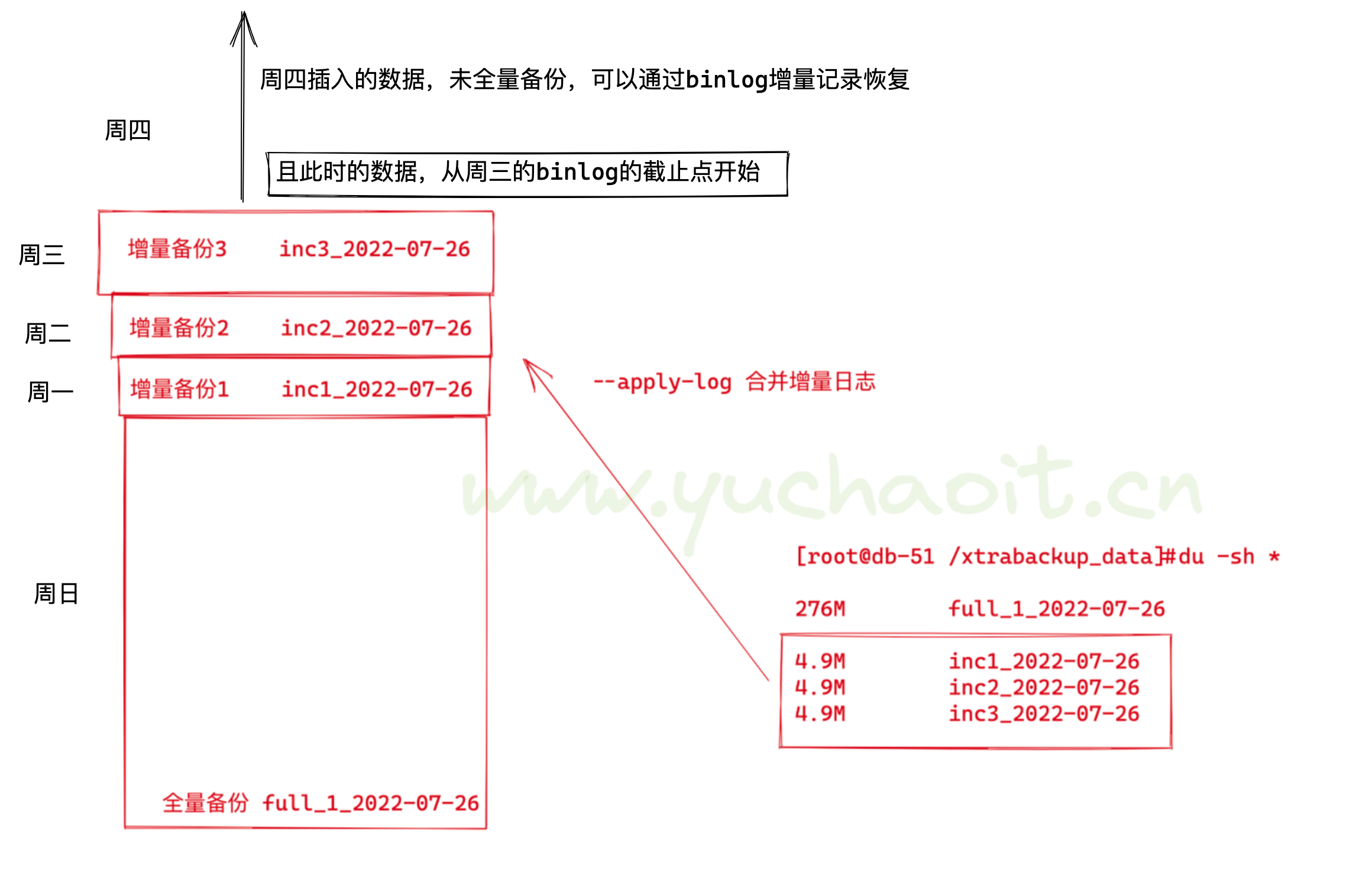 image-20220727141632371