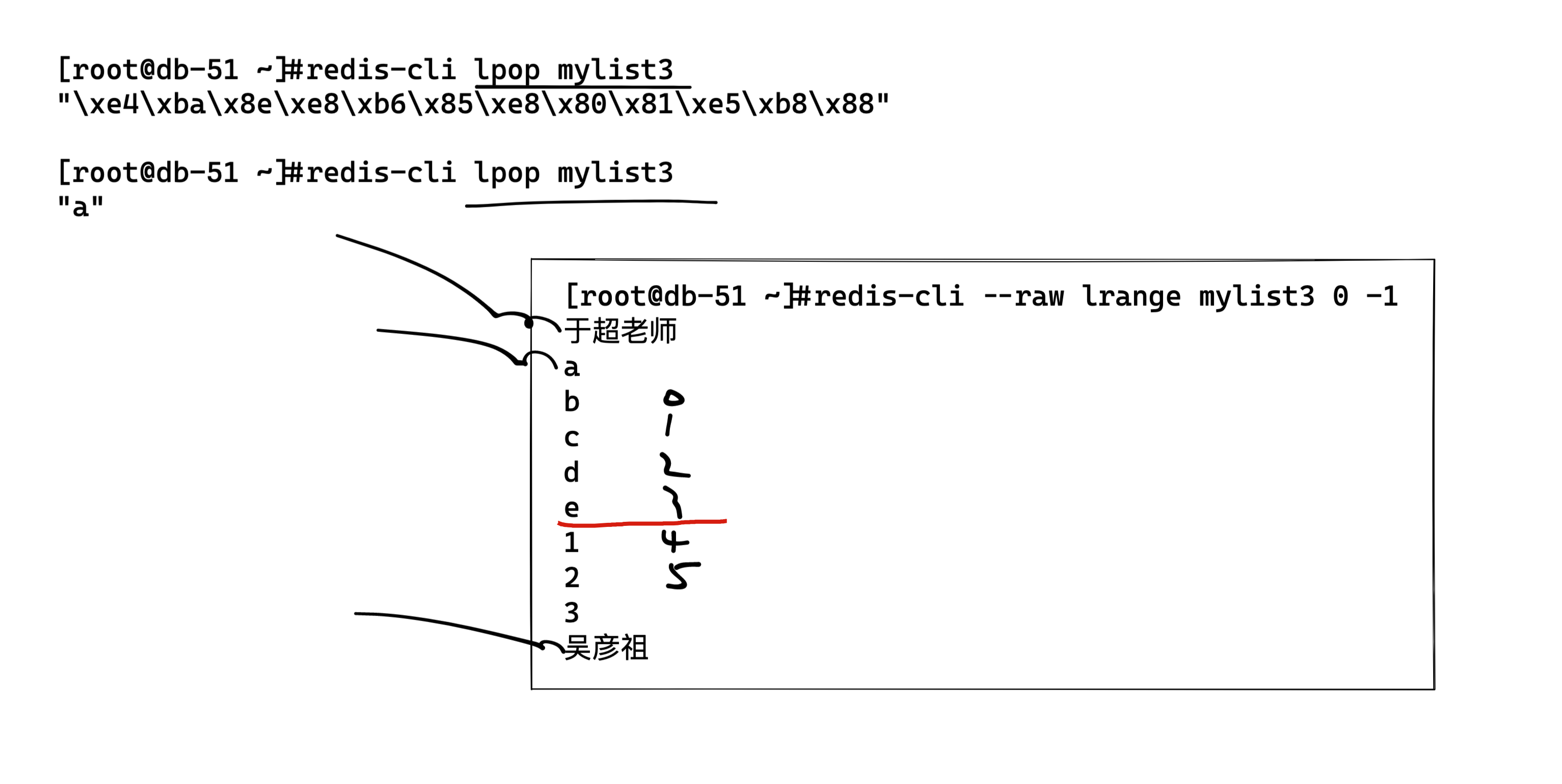 image-20220805165126000