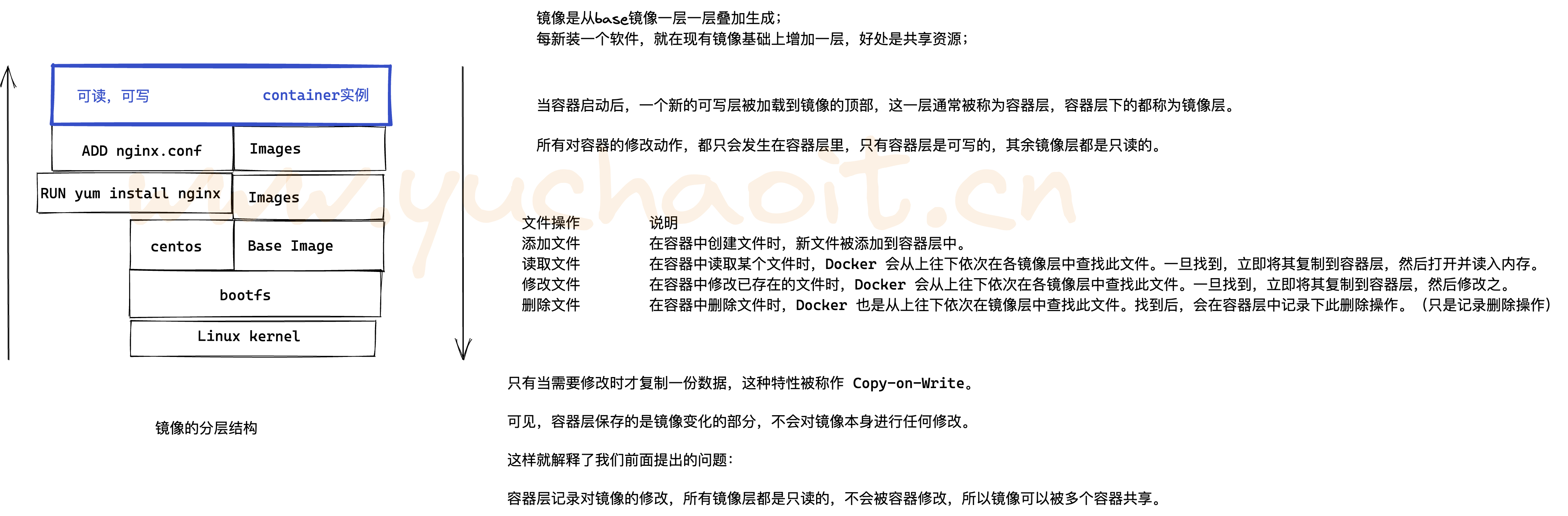 image-20220821181523881