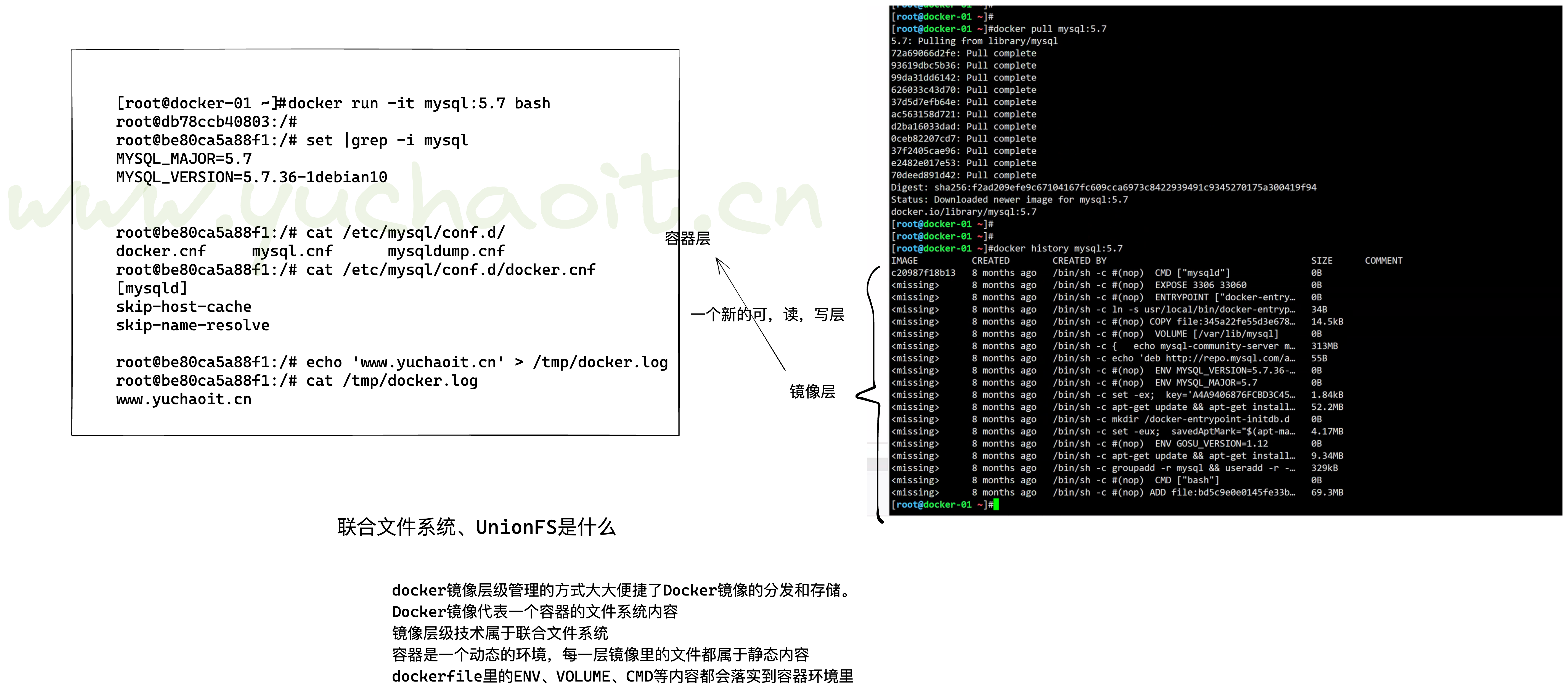 image-20220821182726794