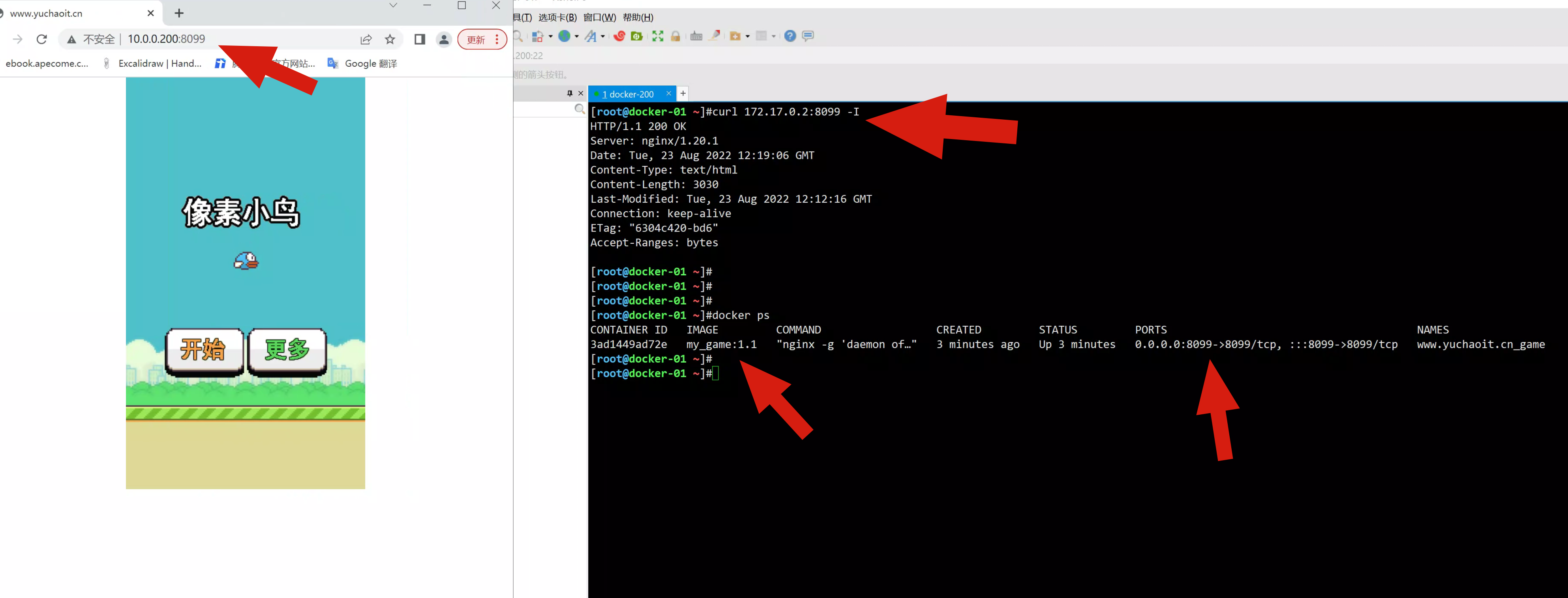 image-20220823121934912