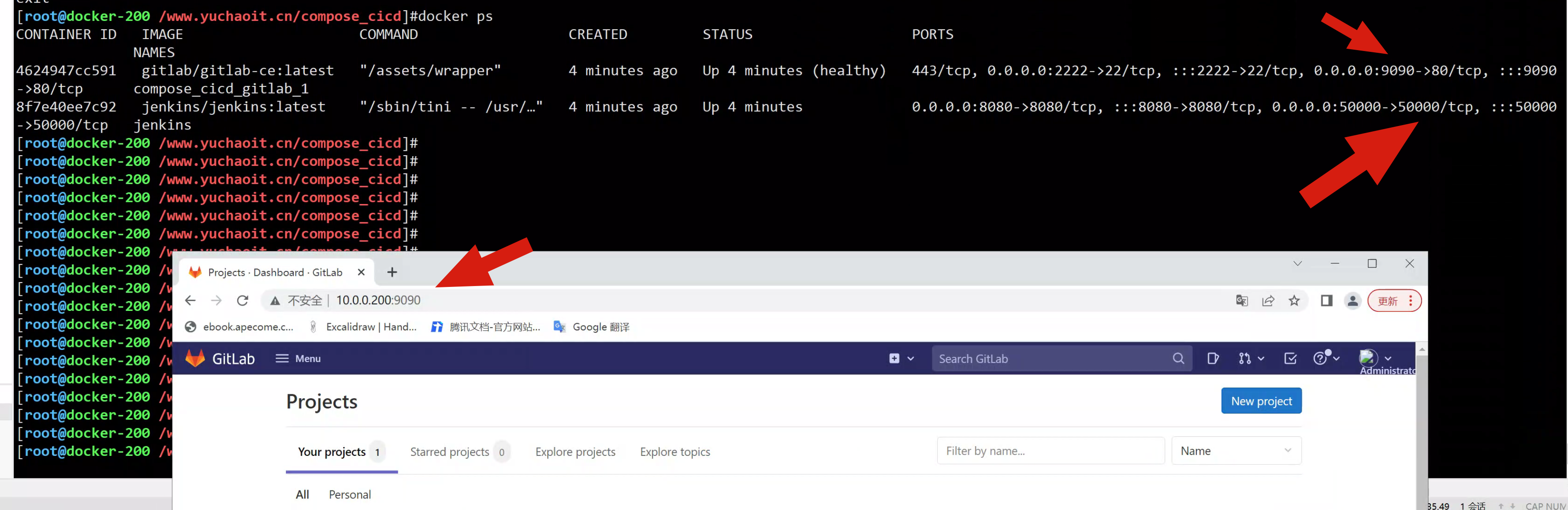 image-20220828113912693