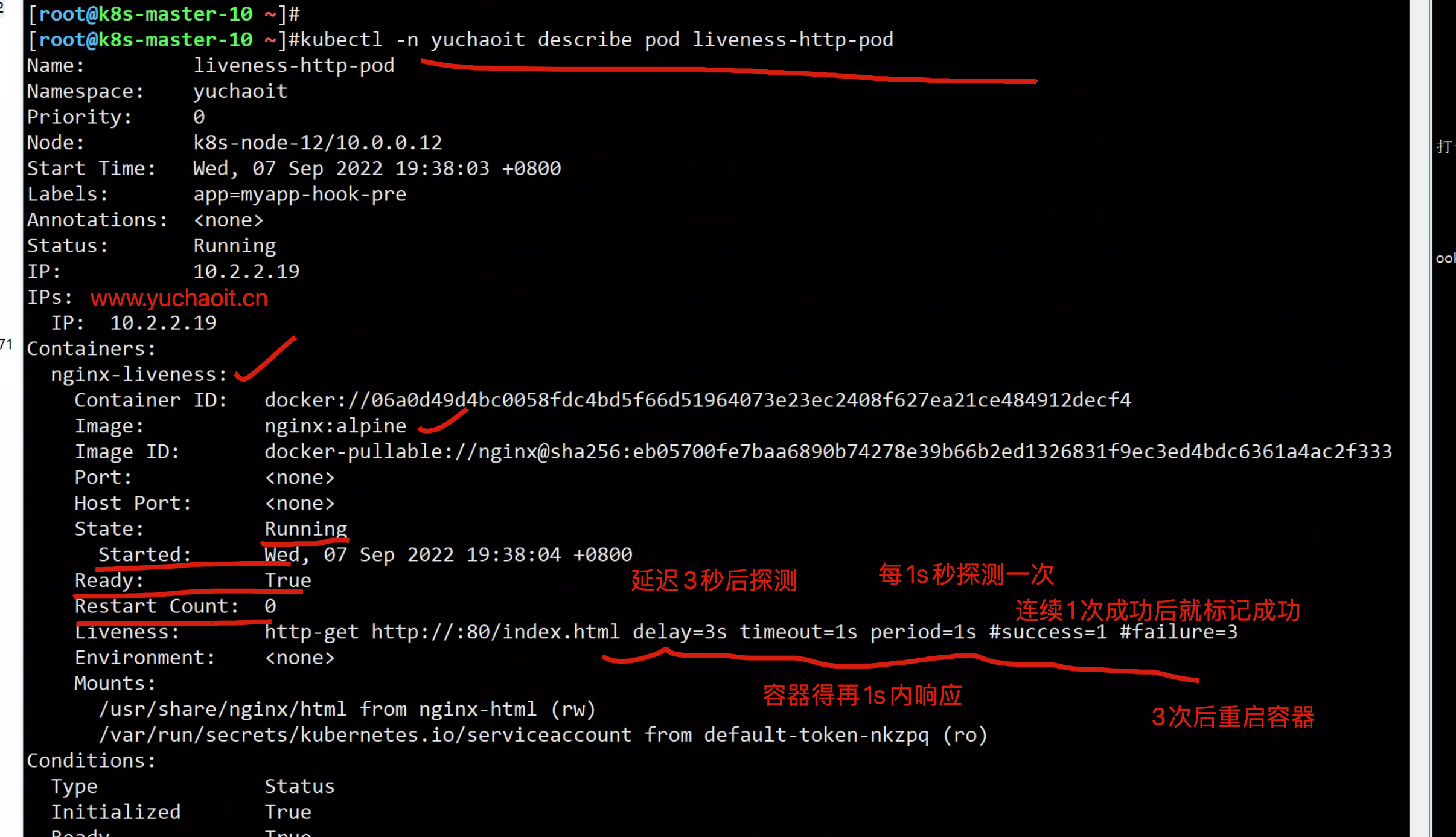 image-20220907194327415