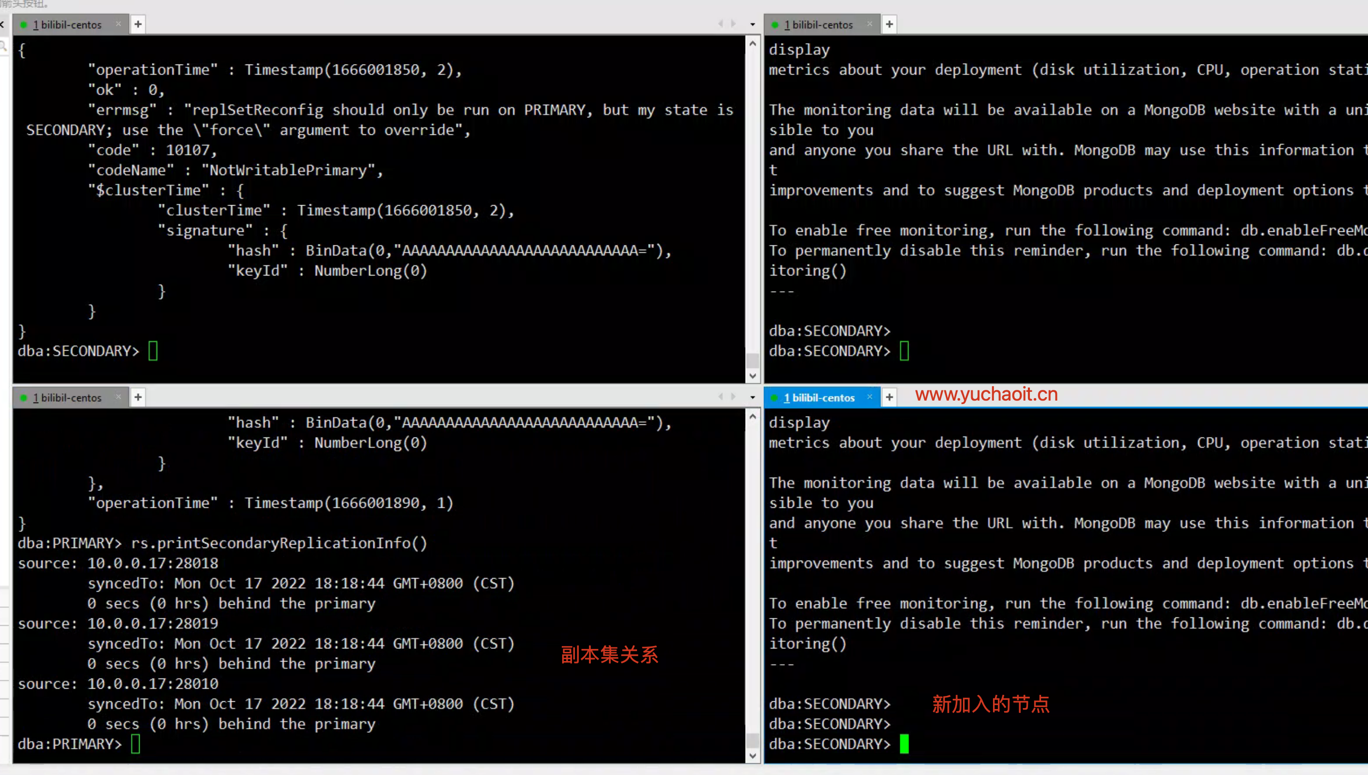image-20221017181922124